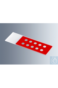     Marienfeld    1216654