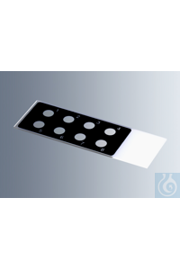     Marienfeld    1216750