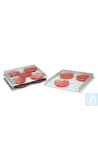 Bel-Art Products TRAY,  , PP18983-1000 F18983-1000