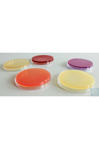 Dinkelberg Endo Agar Basis, DEV, 5  + 4 x 100    DB12790.5000