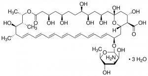 Amphotericin B trihydrate 