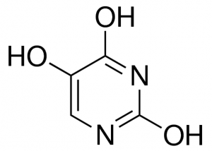 Isobarbituric acid 