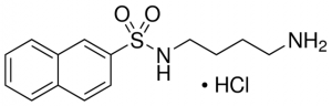 N-(4-Aminobutyl)-2-naphthalenesulfonamide hydrochloride 