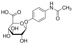 Paracetamol -D-glucuronide 