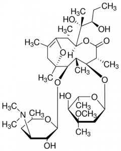 Pseudoerythromycin A enol ether 