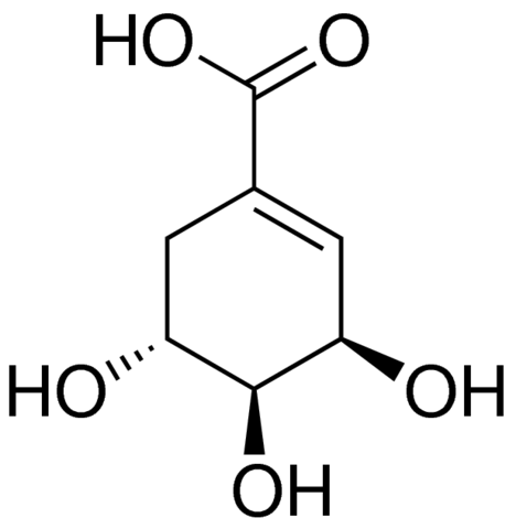 Shikimic acid 