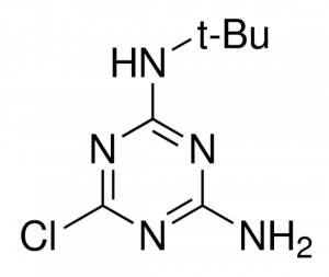 Terbuthylazin-desethyl 