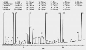 Omegawax Capillary GC Column 24136