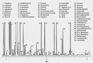 SLB-5ms Capillary GC Column 28465-U