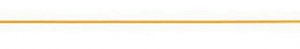 Chromolith CapRod RP-18 endcapped 50-0.2 trap capillary column 