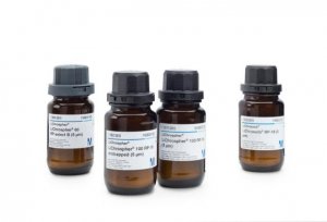 LiChrospher 100 RP-8 endcapped (10 m) 