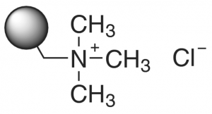 Amberlite IRA-900 chloride form 