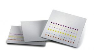 TLC Aluminium oxide 60 F, neutral 