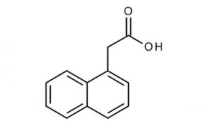 1-Naphthylacetic acid 