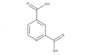 2,4-Pyridinedicarboxylic acid 