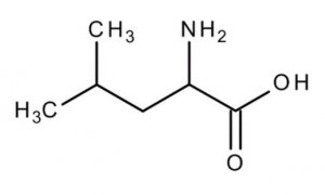DL-Leucine 