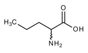 DL-Norvaline 