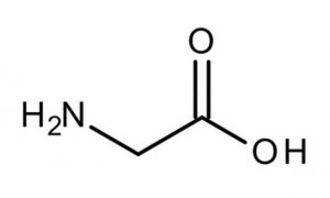 Glycine 