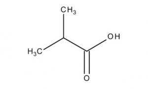 Isobutyric acid 