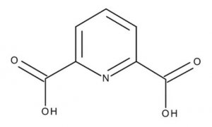 Pyridine-2,6-dicarboxylic acid 