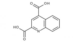 Quinoline-2,4-dicarboxylic acid 