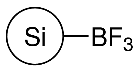 Silica supported boron trifluoride 