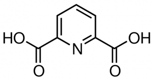 2,6-Pyridinedicarboxylic acid concentrate 