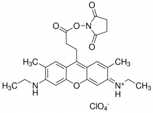 Atto 520 NHS ester 77810-1MG-F