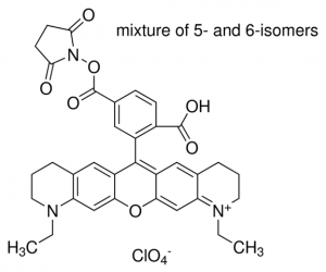 Atto 565 NHS ester 