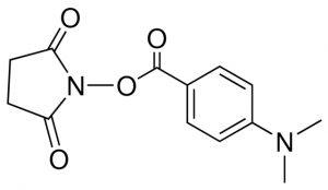 N-Succinimidyl 4-(dimethylamino)benzoate 