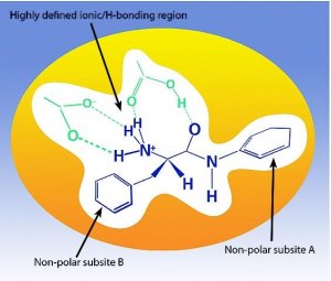 SupelMIP SPE - Beta-agonists 53225-U