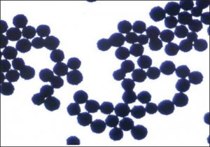 Supel Sphere Carbon/NH2 SPE Tube 54283-U