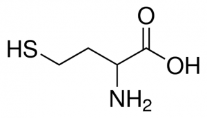 DL-Homocysteine 