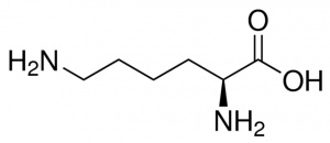 L-Lysine 