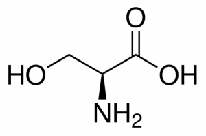 L-Serine 