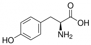 L-Tyrosine 