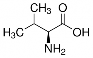 L-Valine 
