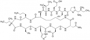 Bacitracin A 