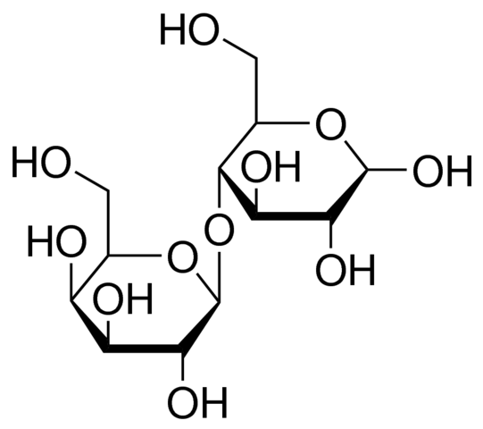 Anhydrous lactose 1356676-100MG