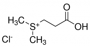 Dimethylpropiothetin hydrochloride 80828-100MG
