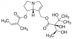 Echimidine PHL89553-10MG