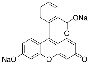 Fluorescein sodium salt 
