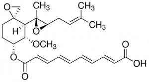 Fumagillin solution 37017-1ML