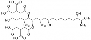 Fumonisin B3 solution 32606-1ML