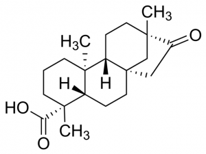 Isosteviol 92273-10MG