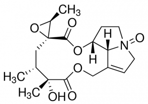 Jacobine N-oxide PHL83435-5MG