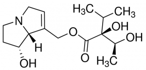 Lycopsamine PHL89726-10MG