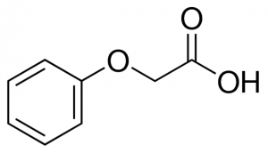 Phenoxyacetic acid 