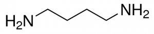 Putrescine 