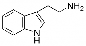 Tryptamine 